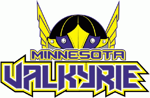 minnesota valkyrie 2010 11-pres primary logo iron on transfers for T-shirts